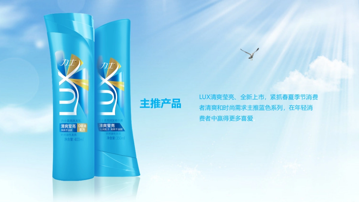 2017力士清爽路演活动方案_第3页