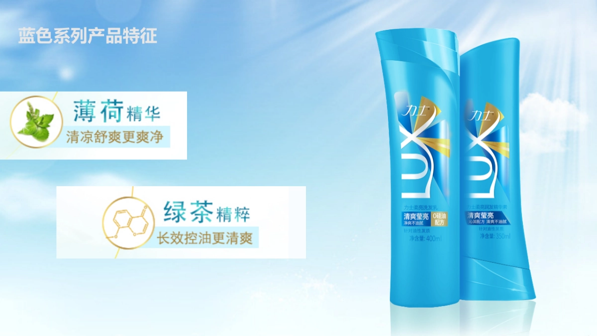 2017力士清爽路演活动方案_第4页