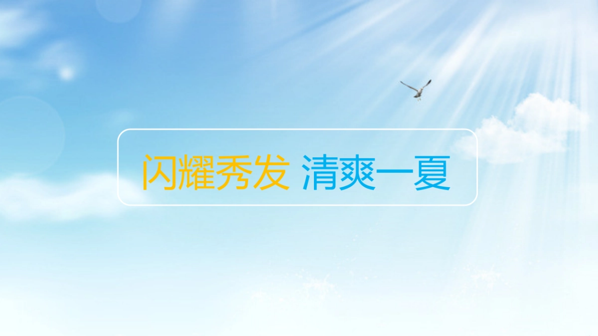 2017力士清爽路演活动方案_第6页