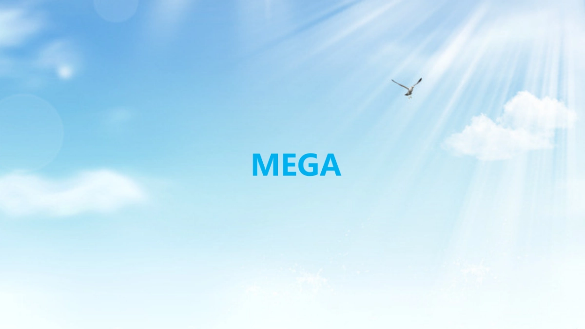 2017力士清爽路演活动方案_第7页