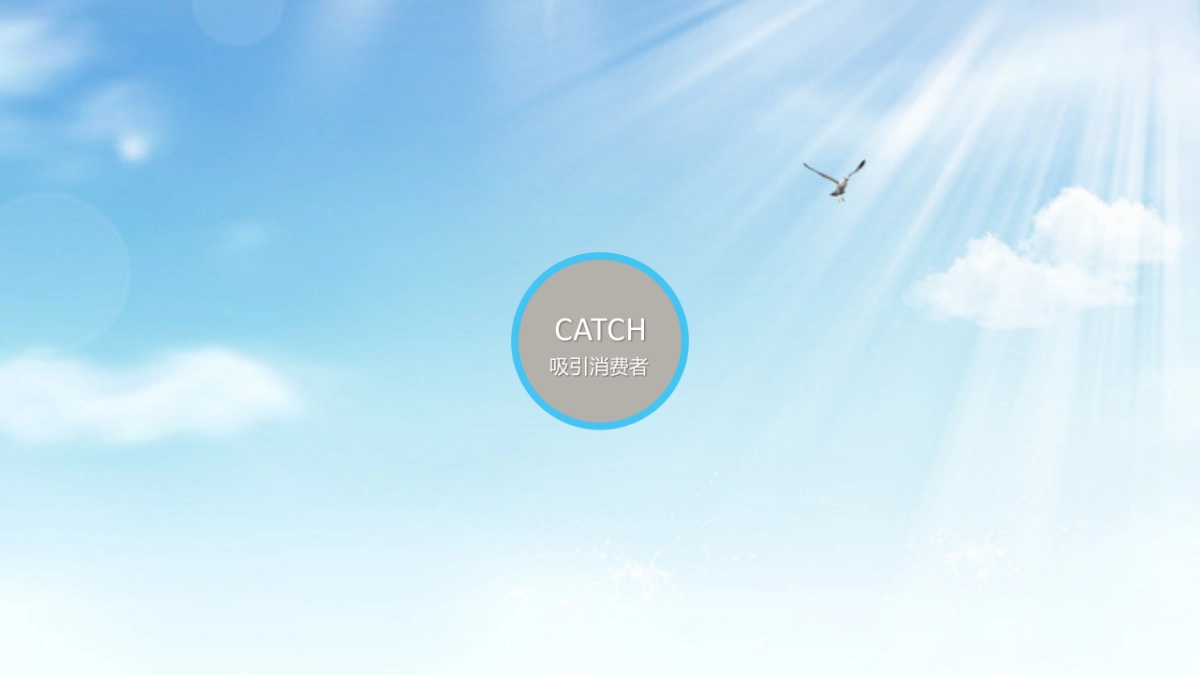 2017力士清爽路演活动方案_第9页