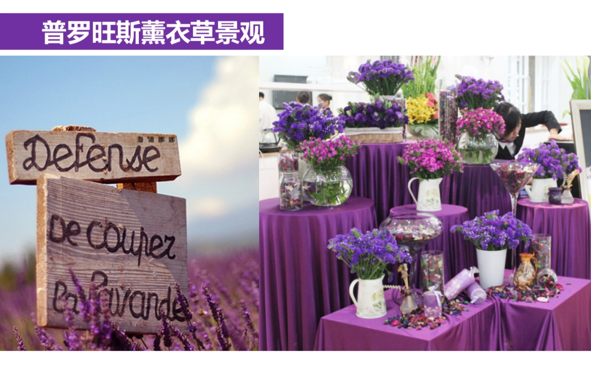 2017年6月东旭蓝天MR91周末系列暖场活动策划案_第8页