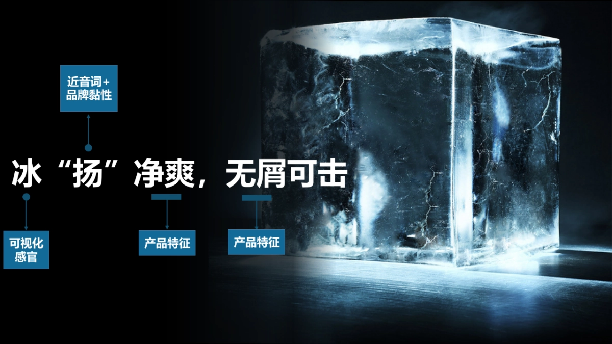 2017清扬净爽活动方案_第7页