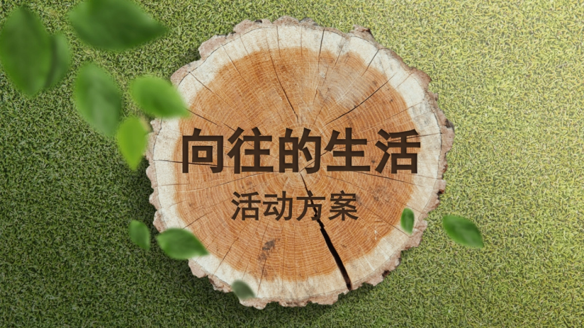 2017向往的生活活动方案_第1页