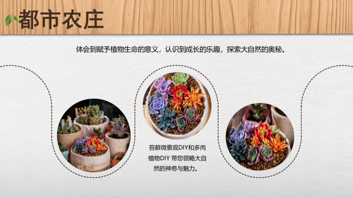 2017向往的生活活动方案_第9页