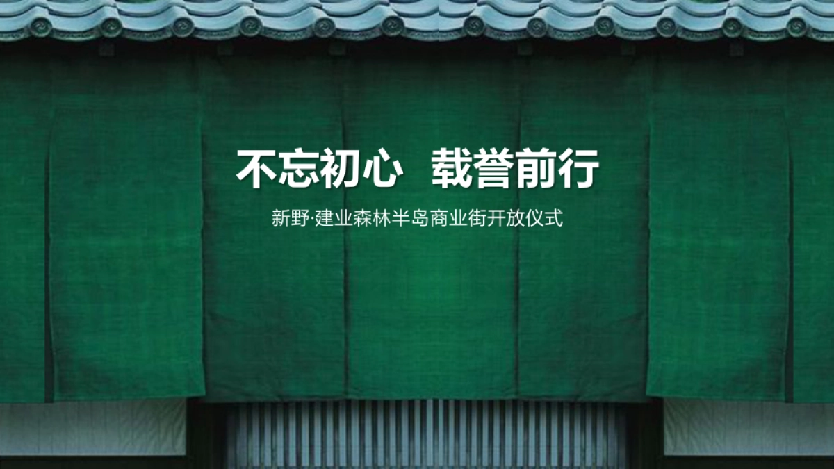 2017新野森林半岛商业街开放活动方案_第1页