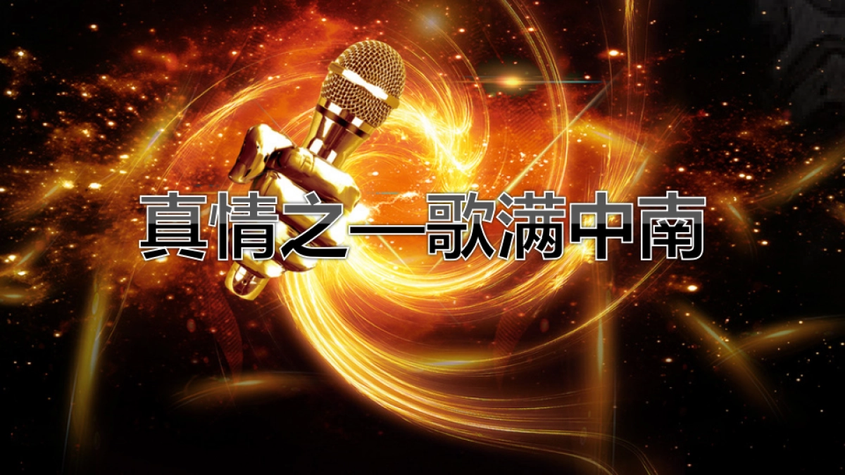 2017镇江中南感恩活动策划案_第4页