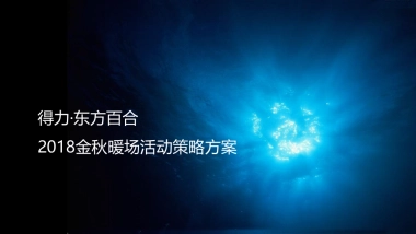 2018东方百合金秋活动策略方案