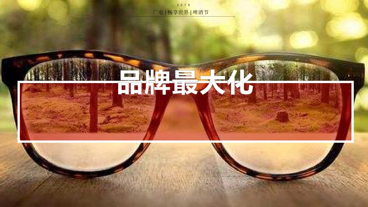 2018广电畅享世84.界啤酒节策划案_第7页