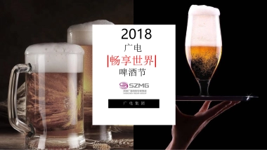 2018广电畅享世84.界啤酒节策划案