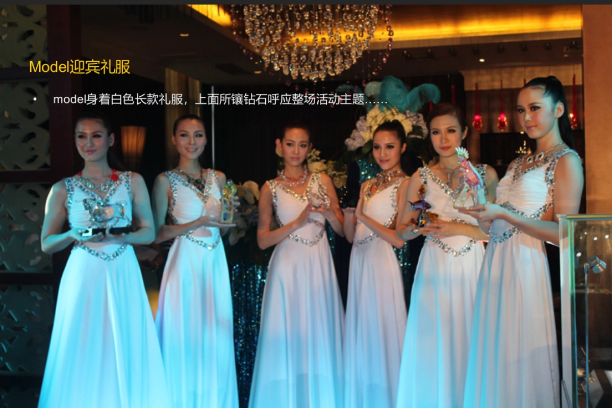 2018天鹅童话圈层活动方案_第5页