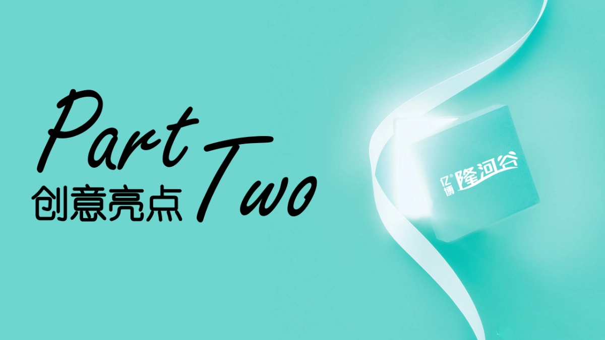 2018亿博隆河谷样板间开放暨认筹活动方案_第9页