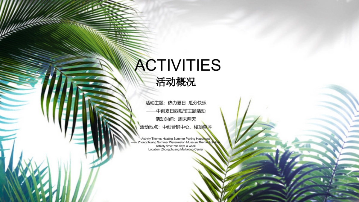 2019MC中创夏日西瓜主题系列活动方案_第8页