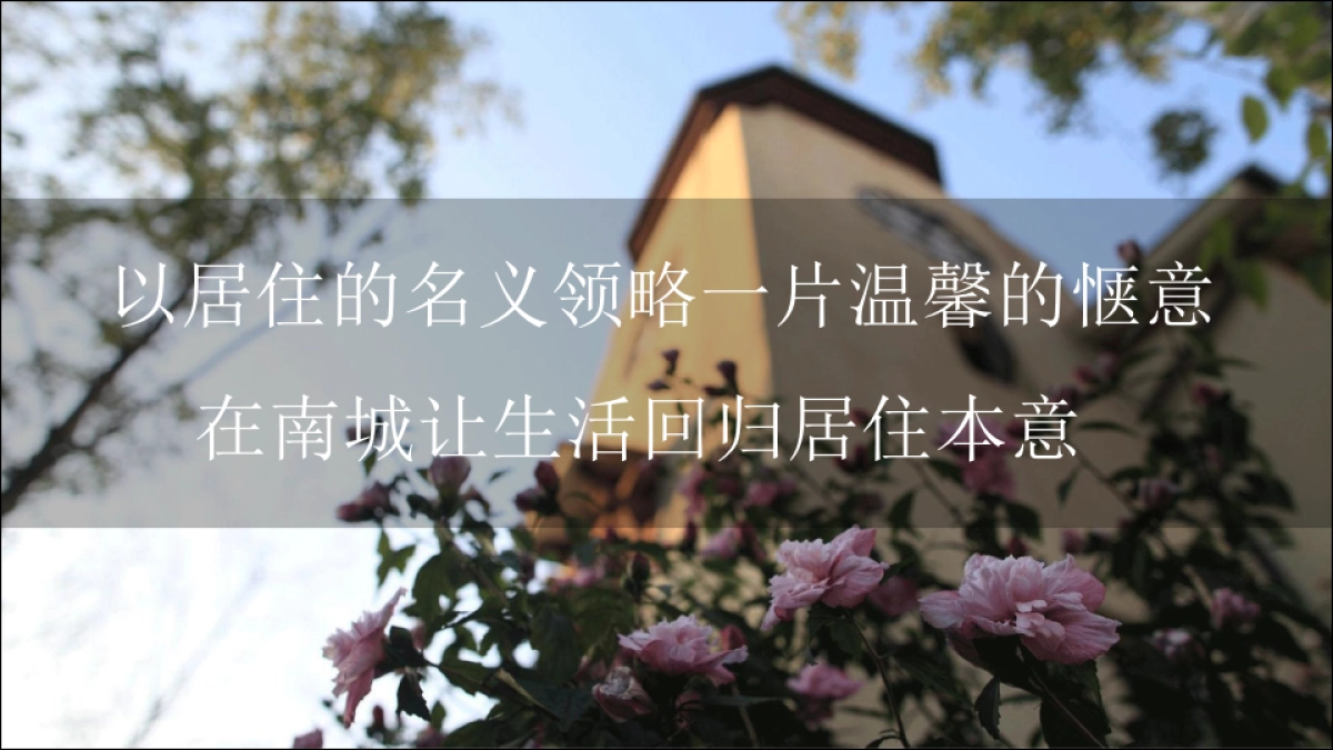 2019高铁南城首届花海展稻草展美食街旅游文化节策划案_第2页