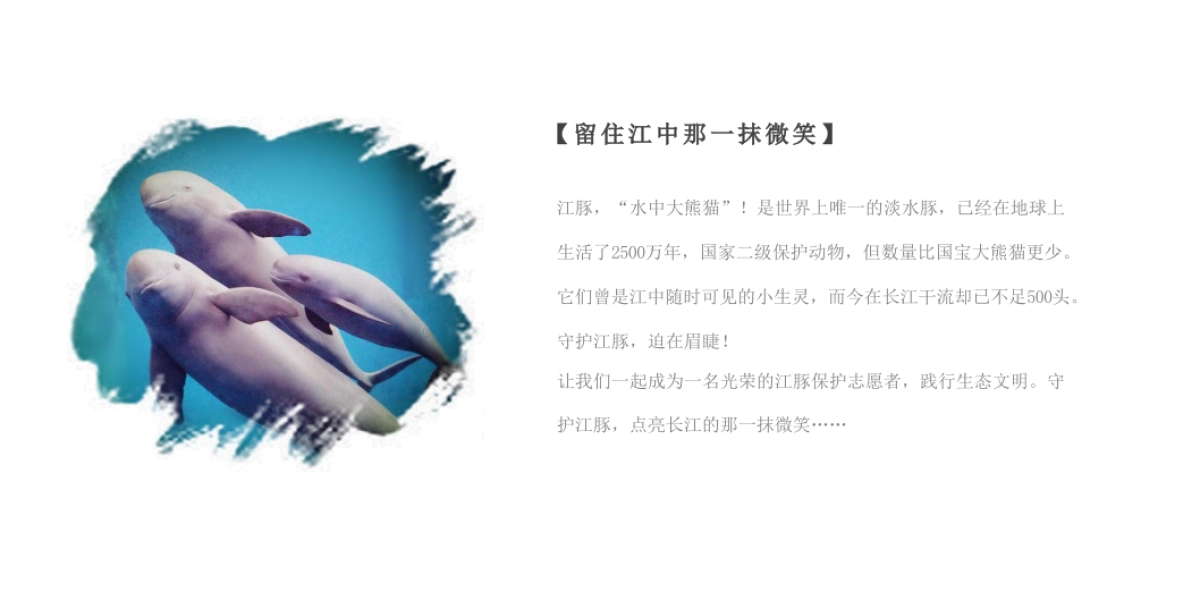 2019红豆置业环湖公益跑活动方案建议_第2页