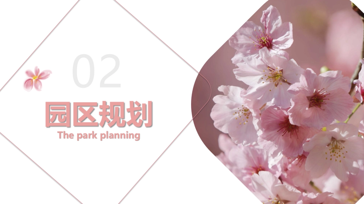 2019花城浪漫樱135.乐季（樱花节）活动策划方案_第10页