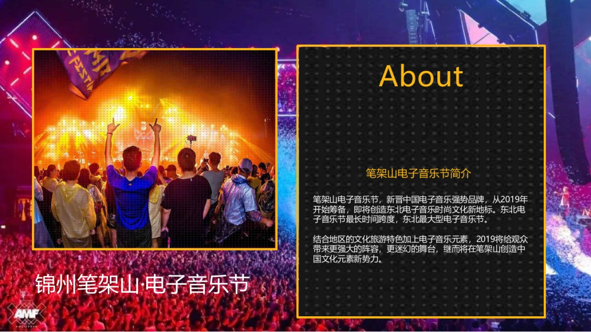 2019锦州笔架山电子音乐节策划案_第2页
