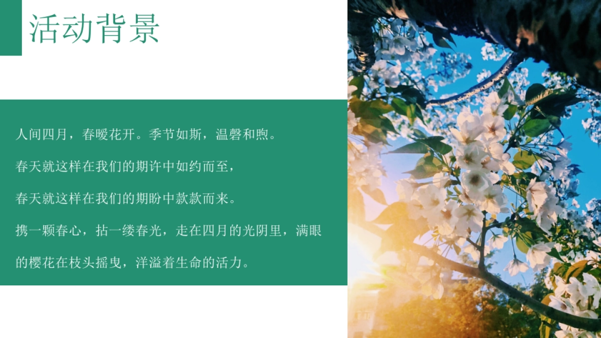 2021春季四月周末暖场“人间四月 慢享时光”活动策划方案_第4页