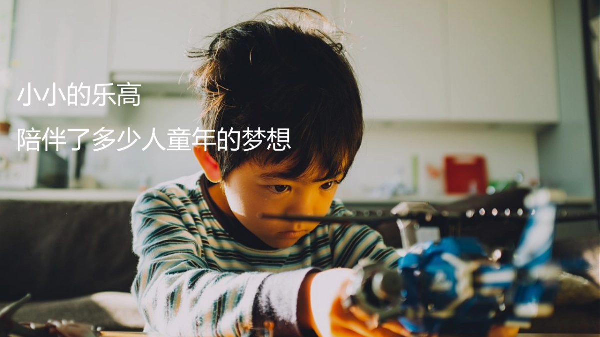 2021大型乐高嘉年华“万般美好 乐在其中”活动策划方案_第2页