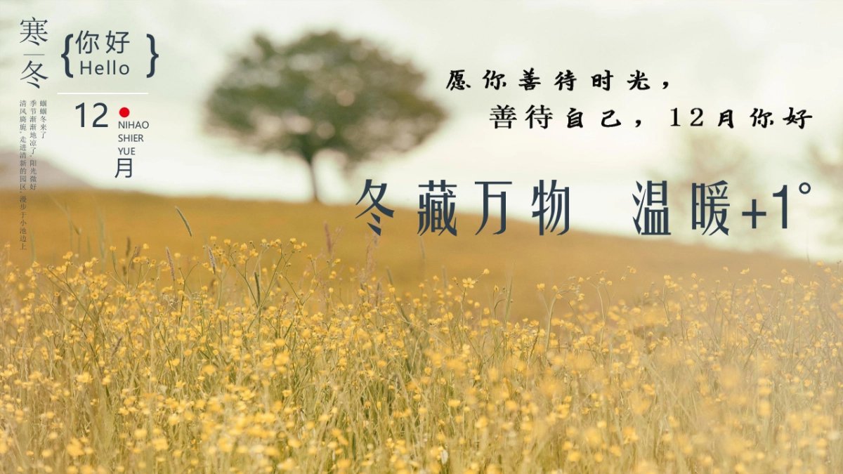 2021冬季12月系列暖场（冬藏万物 温暖 1°主题）活动策划方案_第2页