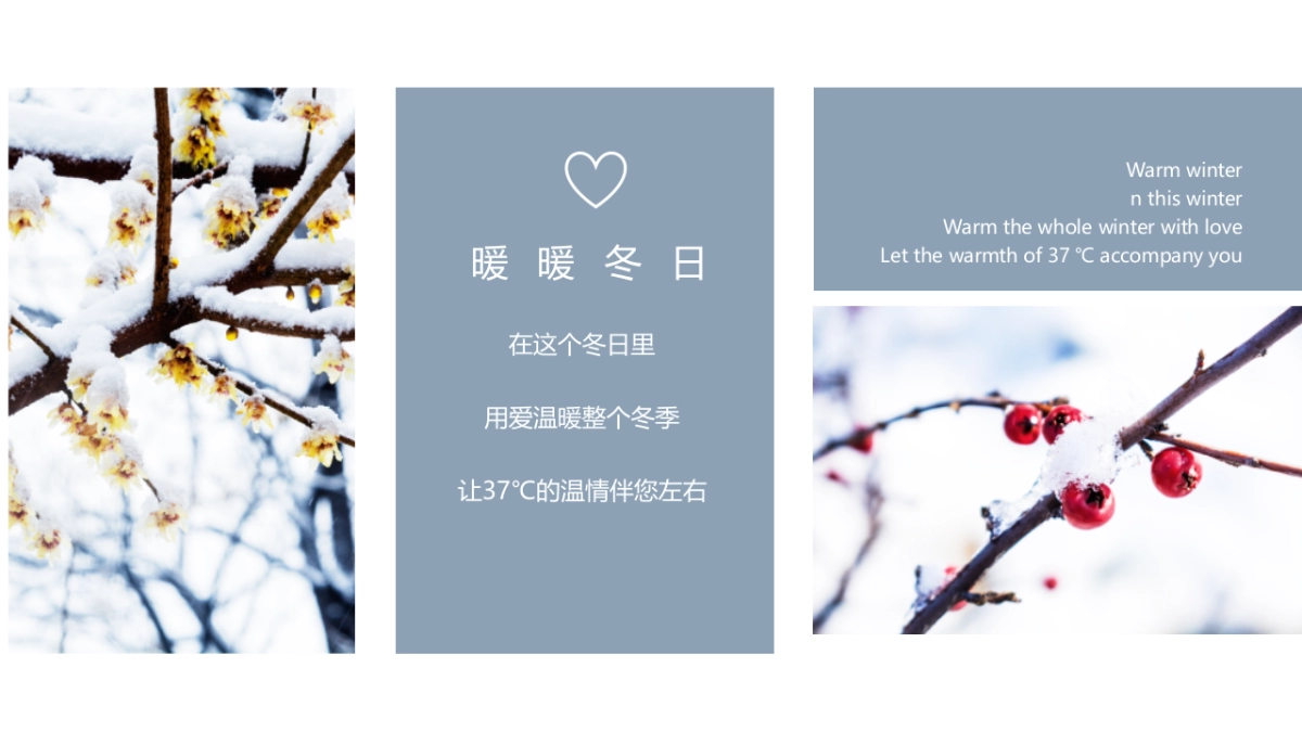2021冬季12月系列暖场（冬藏万物 温暖 1°主题）活动策划方案_第5页
