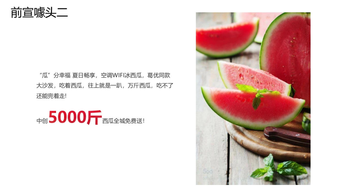 2019中创夏日西瓜主题系列活动方案_第5页