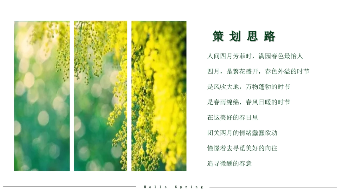 2020春季暖场系列“邂逅星城四月天”活动策划方案_第2页