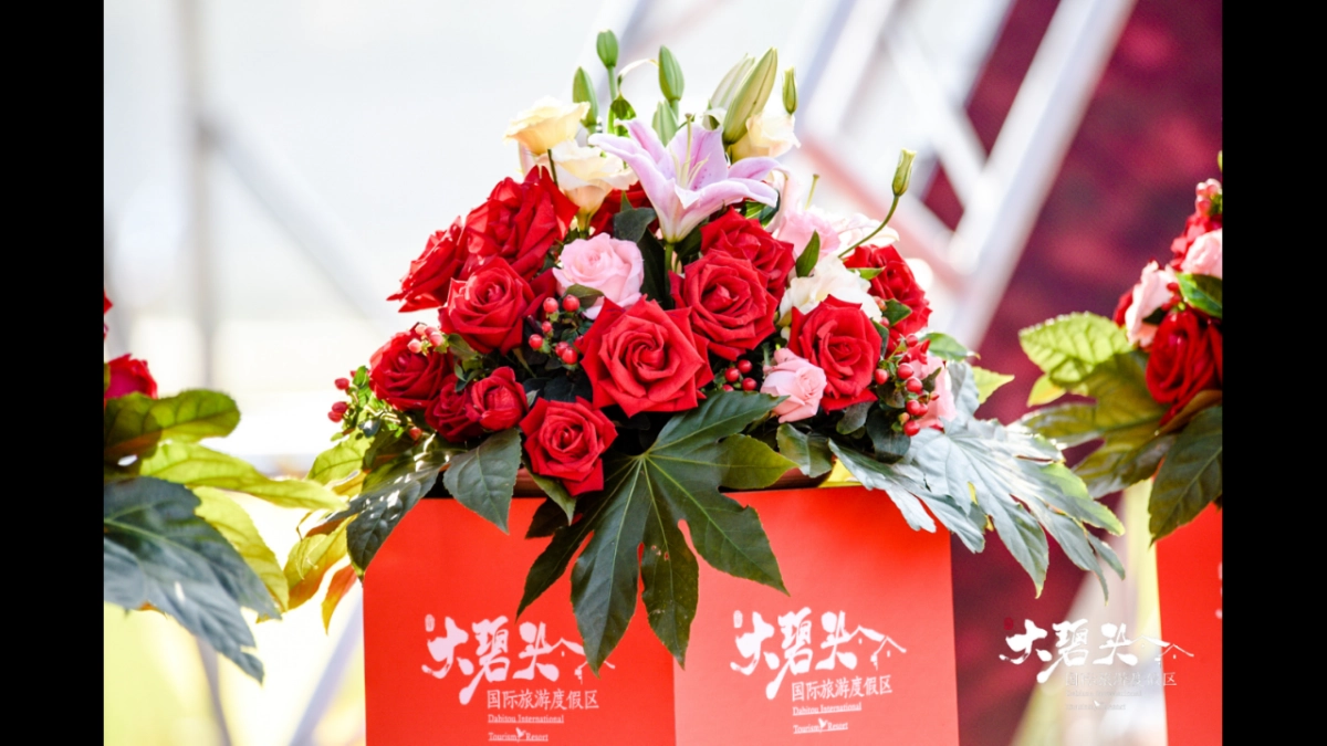 2020大碧头&汪苏泷 10.1-10.7开业盛典暨稻田音乐节_第9页