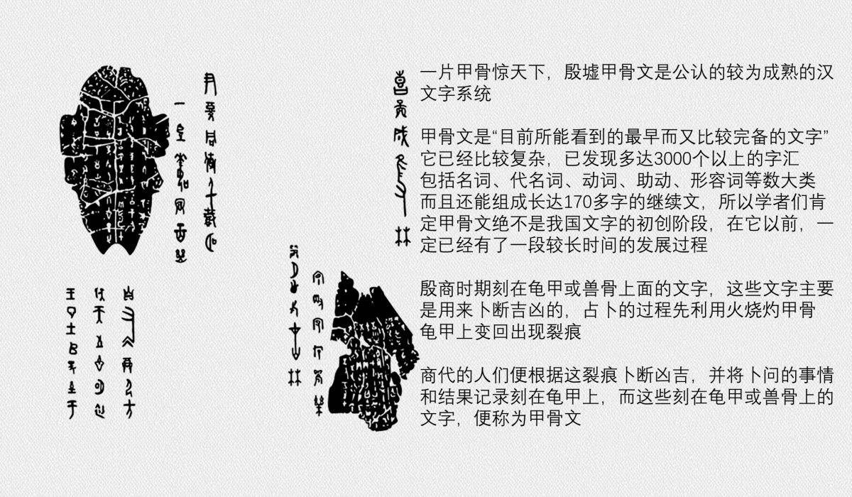 2020汉字岛主题汉字艺术节活动策划方案_第7页