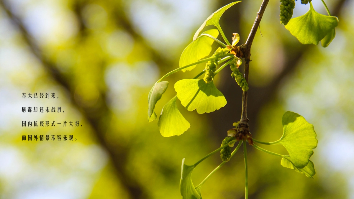 2020商业广场五一（HAVE A FUN 环球美食节主题）活动策划方案_第2页