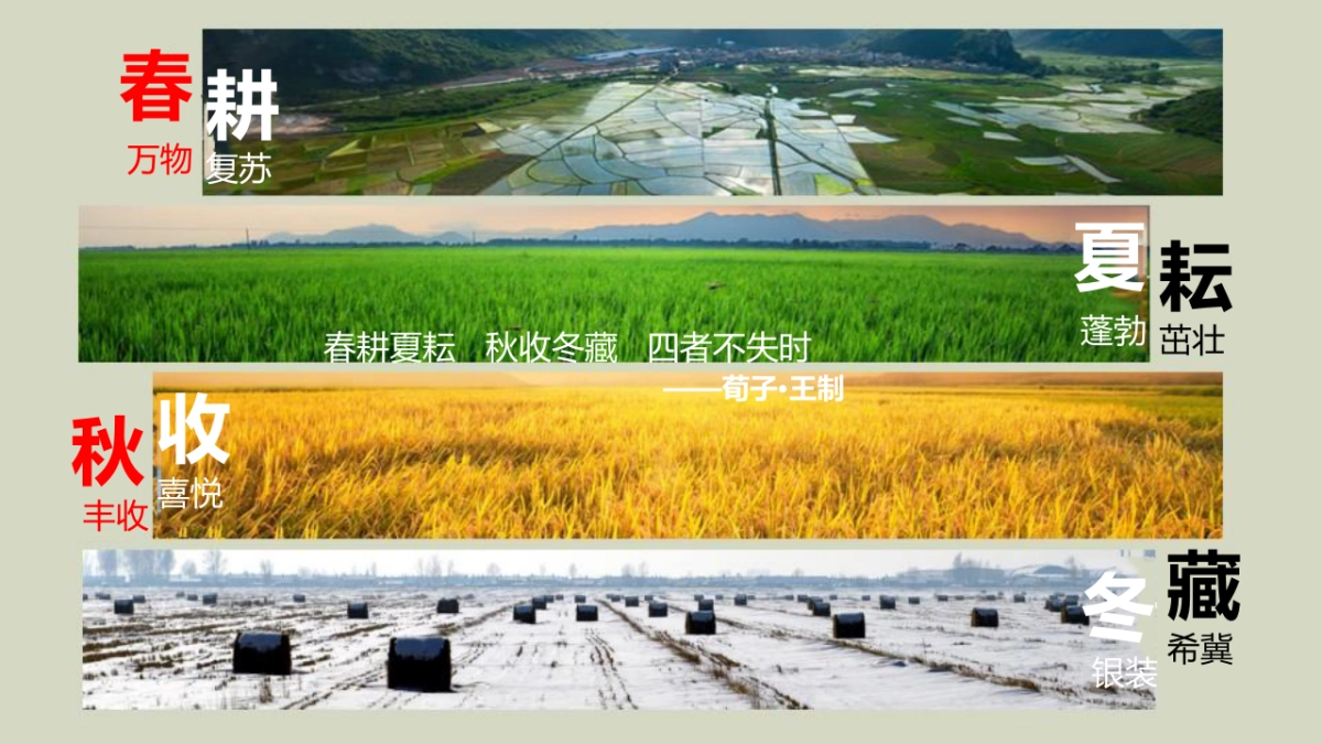 2020中国农民丰173.收节活动策划方案_第5页