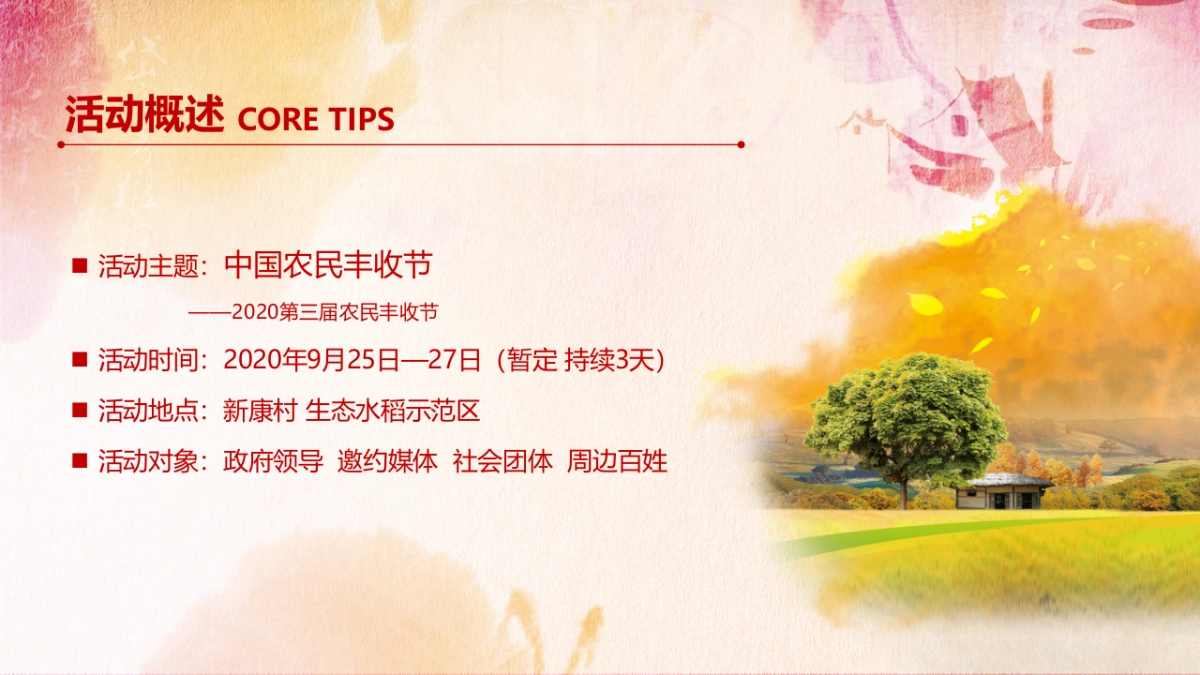2020中国农民丰173.收节活动策划方案_第9页