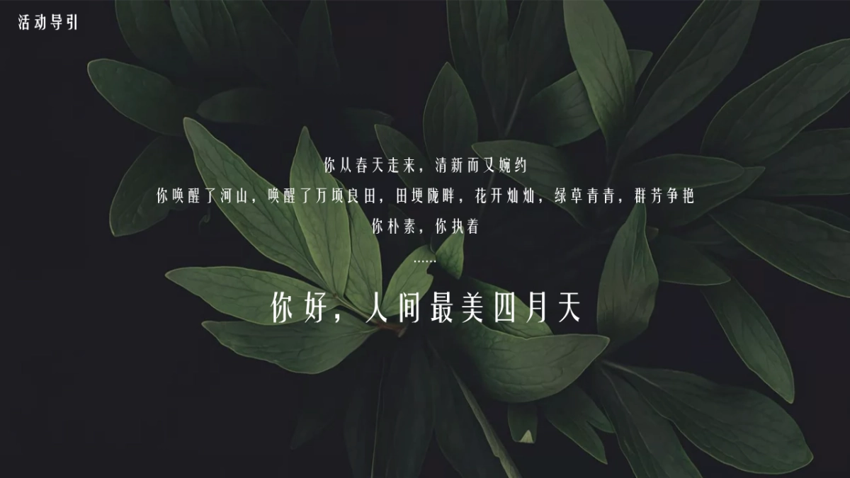 2021春季暖场系列“人间最美四月天”活动策划方案_第3页