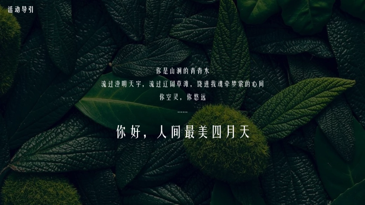 2021春季暖场系列“人间最美四月天”活动策划方案_第4页