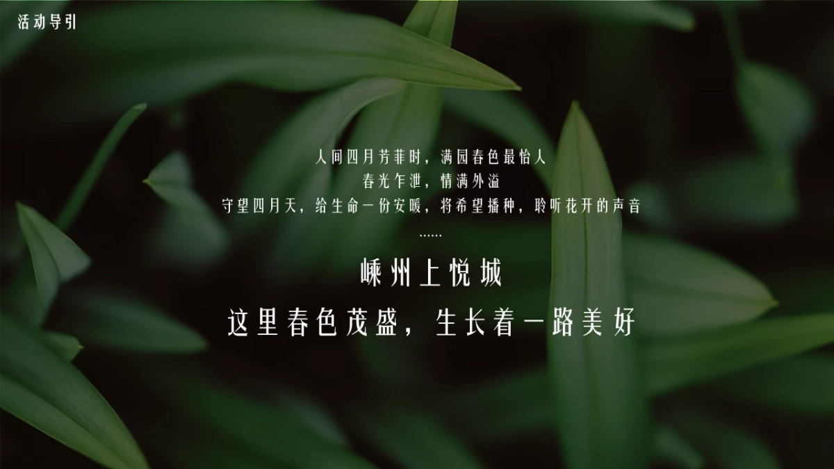 2021春季暖场系列“人间最美四月天”活动策划方案_第5页