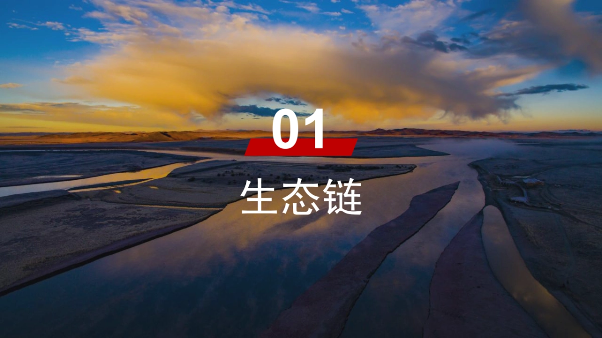 2021新乡市桥北乡区域生态链分析及音乐节主题活动策划方案_第4页