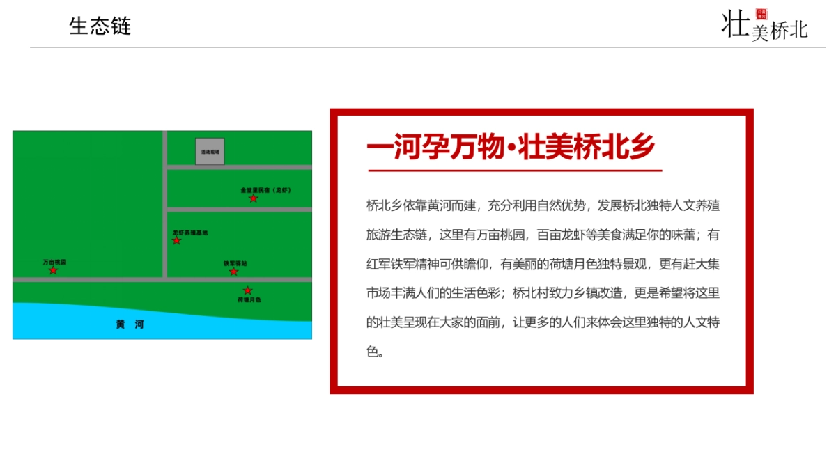 2021新乡市桥北乡区域生态链分析及音乐节主题活动策划方案_第5页
