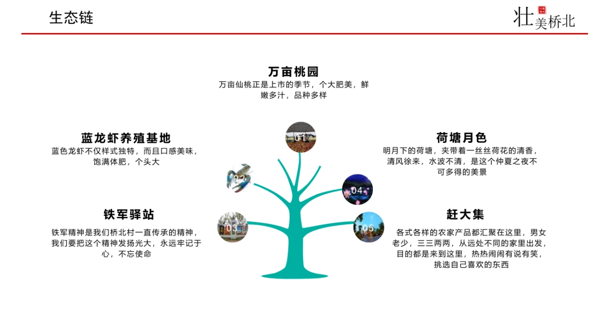 2021新乡市桥北乡区域生态链分析及音乐节主题活动策划方案_第6页