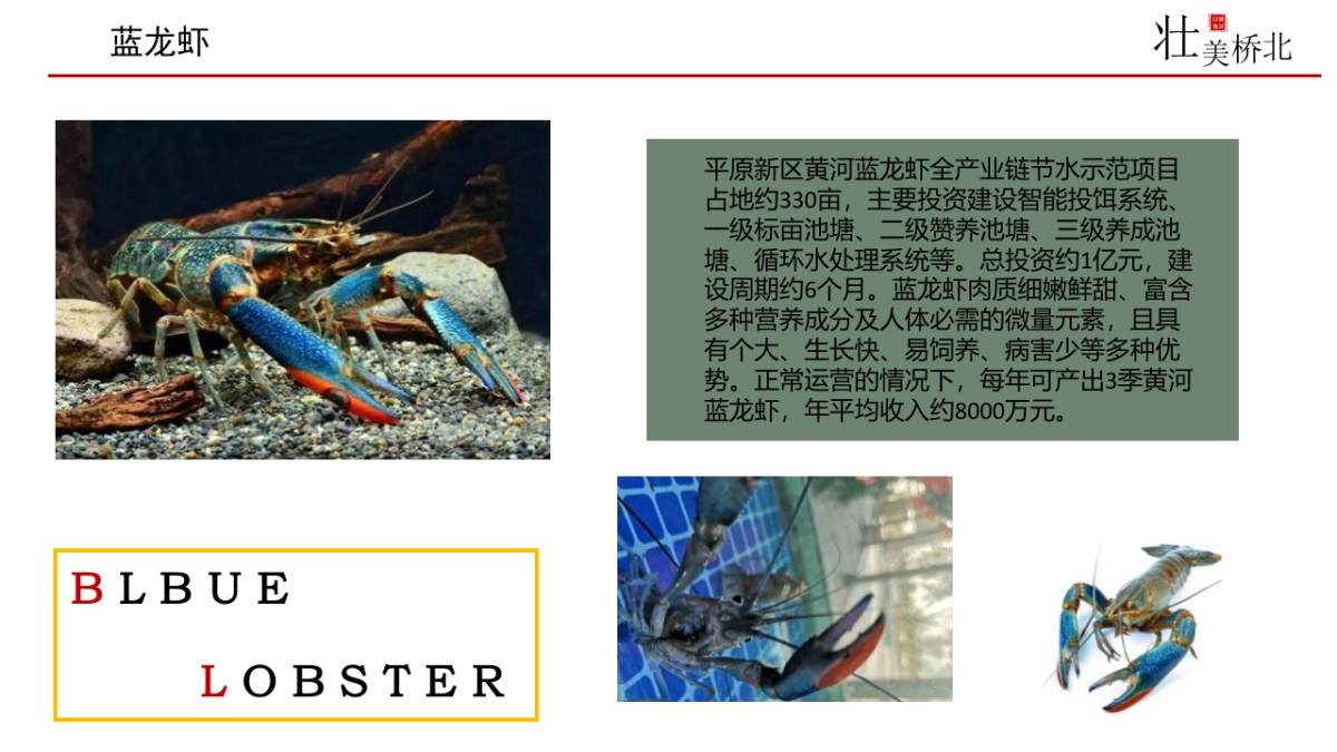 2021新乡市桥北乡区域生态链分析及音乐节主题活动策划方案_第8页