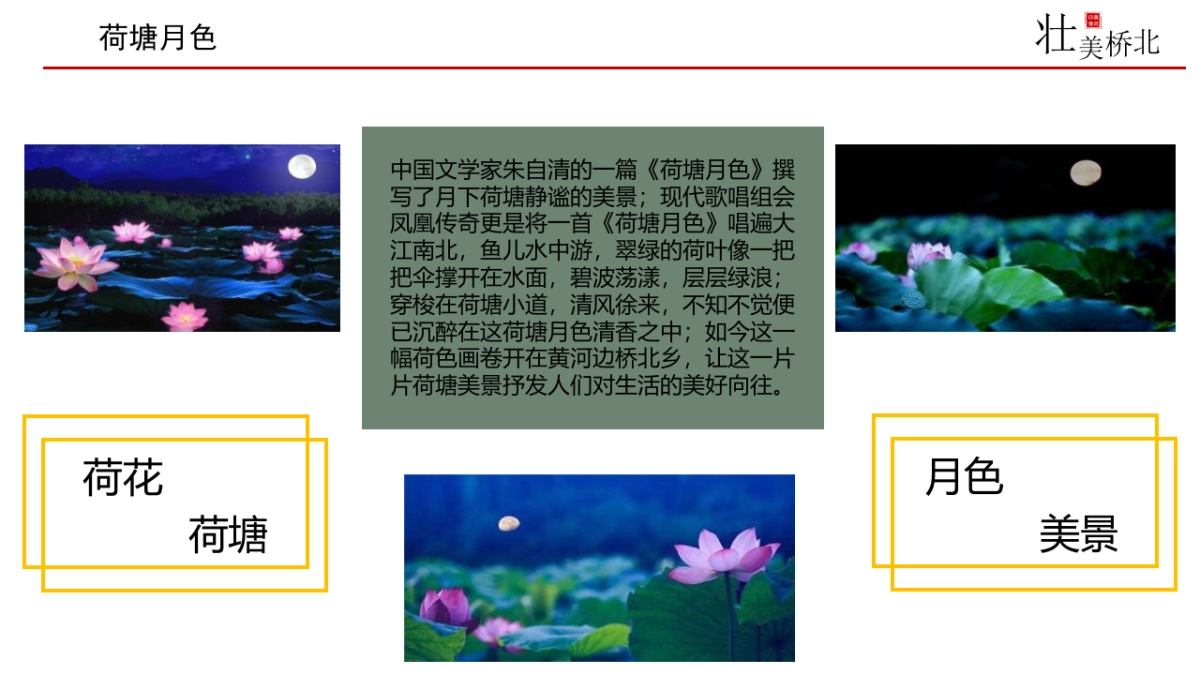 2021新乡市桥北乡区域生态链分析及音乐节主题活动策划方案_第9页