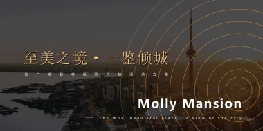 2021样板间开放（至美之境·一鉴倾城主题）活动策划方案