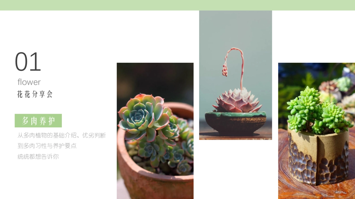 2021商业广场春日花花市集活动策划方案_第10页