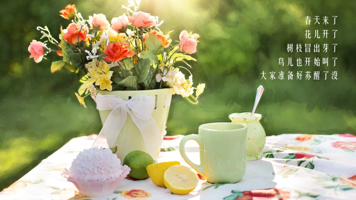 2021商业广场春日花花市集活动策划方案_第2页