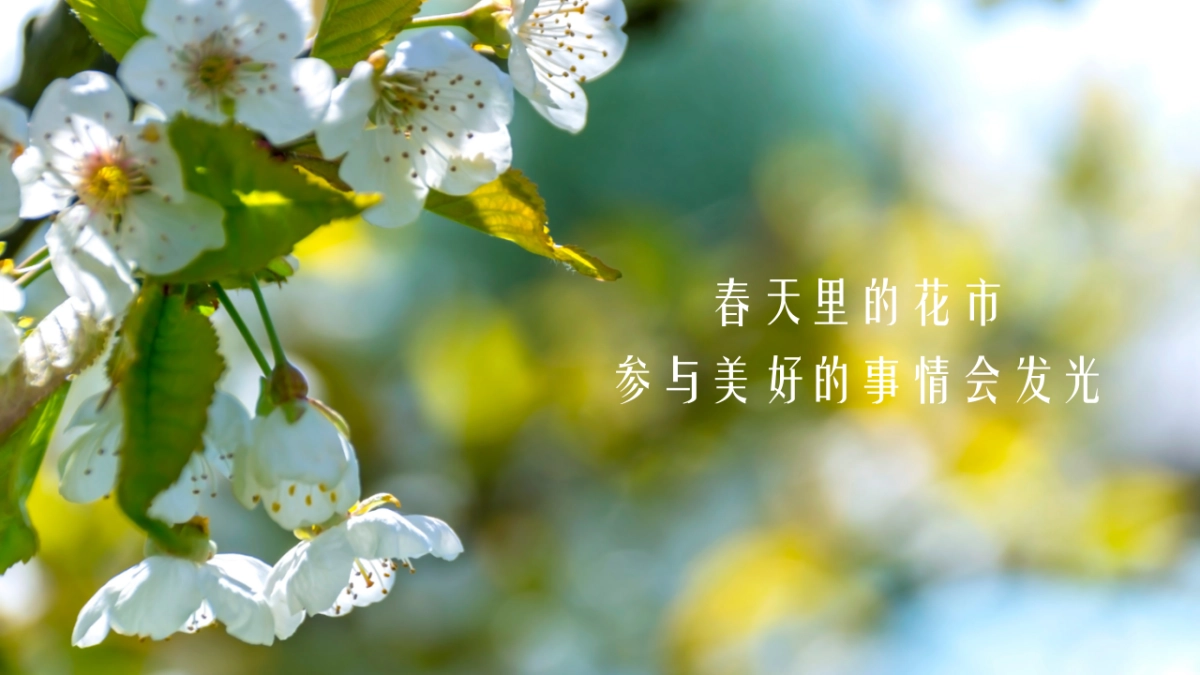 2021商业广场春日花花市集活动策划方案_第5页