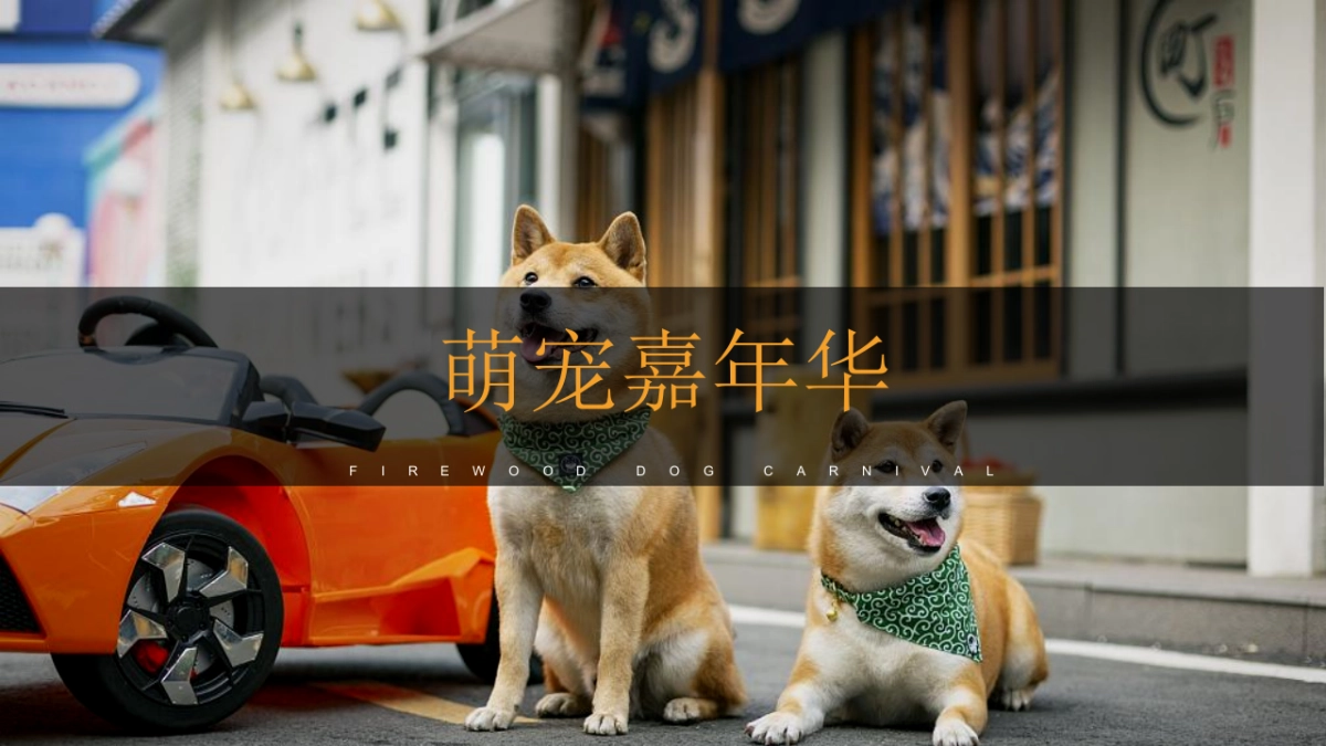 2021商业广场疯狂动物城活动策划方案_第9页