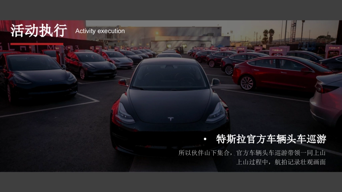 2021特斯拉迷嘉年华「特立独行 驾驭未来主题」活动策划方案_第7页