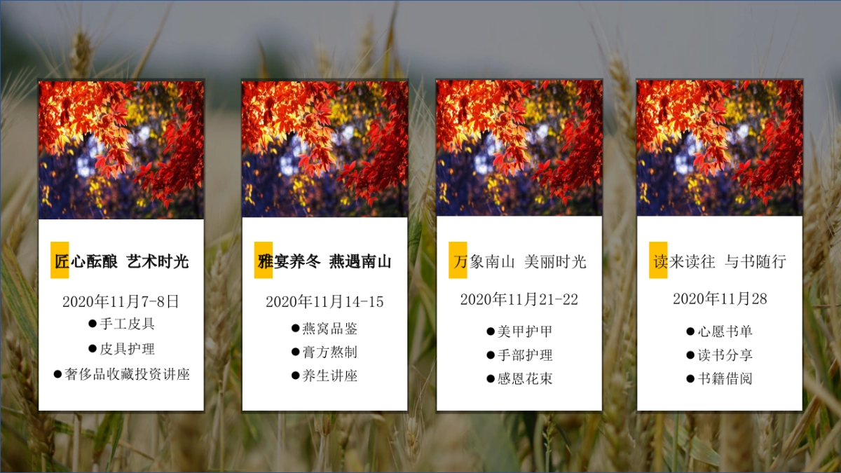 2021万象秋冬主题月（美好秋冬 如你所见主题）活动策划方案_第10页