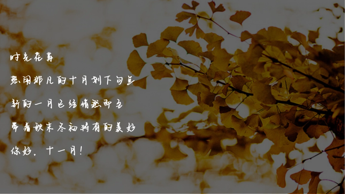 2021万象秋冬主题月（美好秋冬 如你所见主题）活动策划方案_第2页