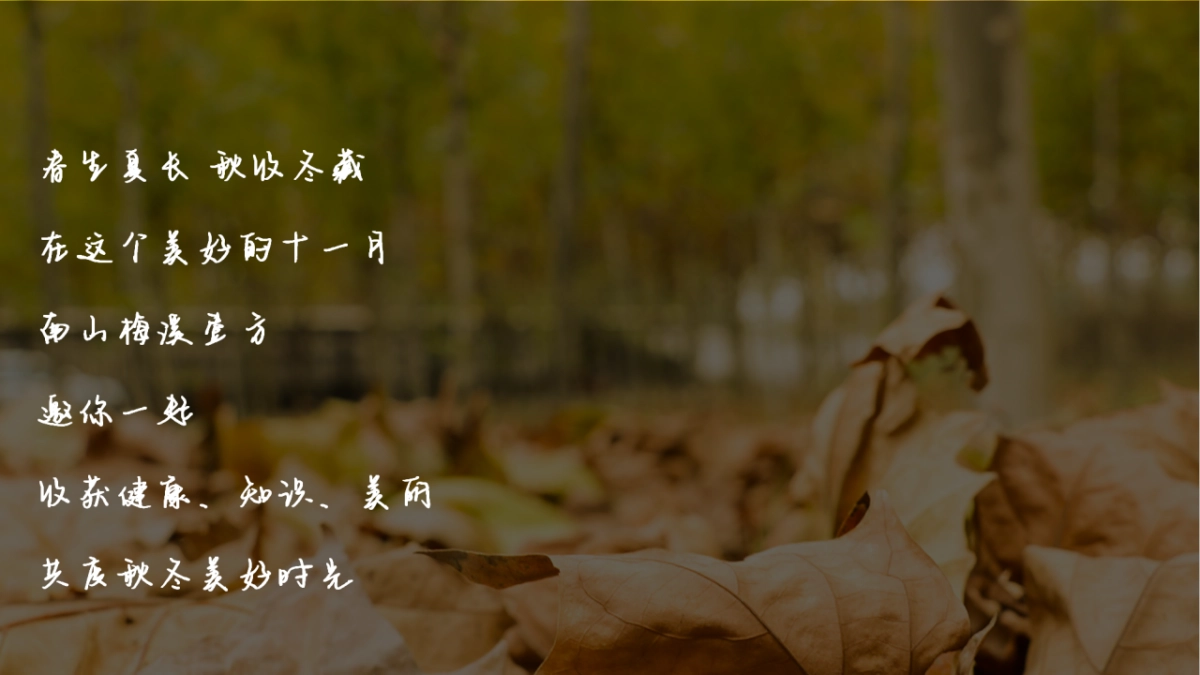 2021万象秋冬主题月（美好秋冬 如你所见主题）活动策划方案_第4页