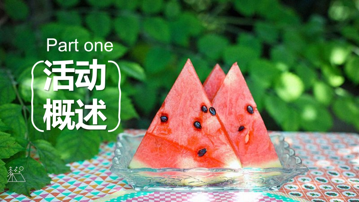 2022草坪露营节（开心一夏去露营主题）活动策划方案-45P_第2页